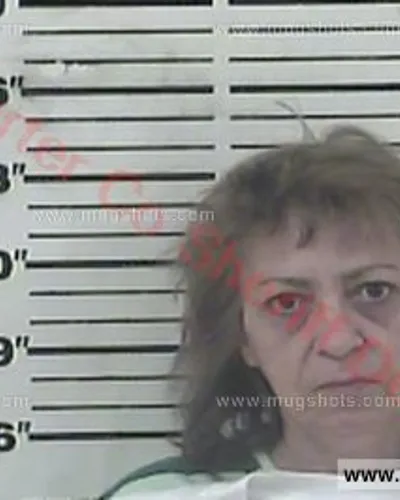 Booking photo of Karen Stout, Carter County, Nov 1, 2017