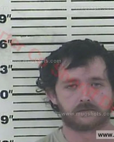 Booking photo of Stacy Townsend, Carter County, Feb 9, 2017