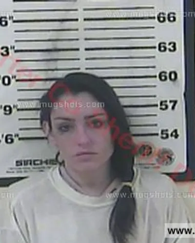 Booking photo of Valerie N Saylor-Gray, Carter County, Feb 8, 2016