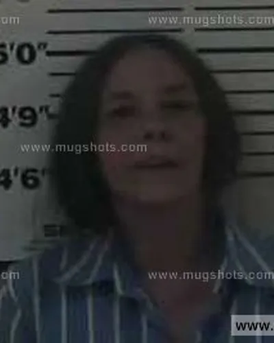 Booking photo of Mechele Lewis, Carter County, Apr 28, 2014