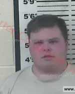 Booking photo of Warrren Lynn Hodges, Carter County, Feb 13, 2016