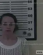 Booking photo of Elizabeth Ashley Pleasant, Carter County, Jan 21, 2015