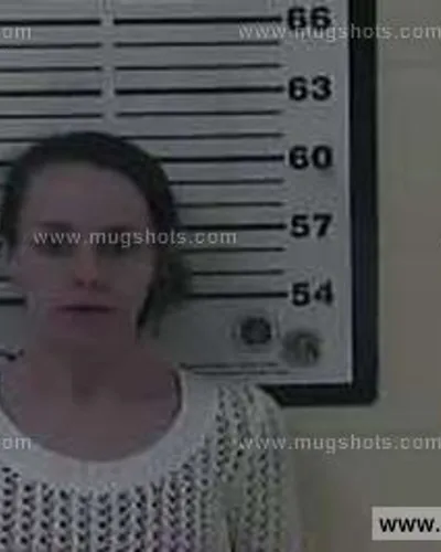 Booking photo of Elizabeth Ashley Pleasant, Carter County, Jan 21, 2015