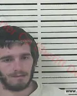 Booking photo of Nathanael Montgomery Whitaker, Carter County, Mar 18, 2017