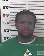 Booking photo of Louis Sterling Wall JR, Carter County, Apr 25, 2016