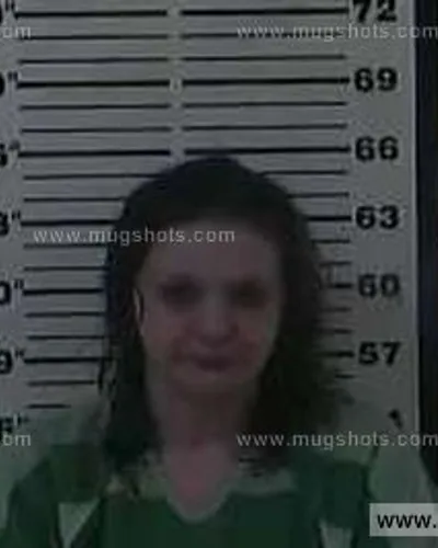 Booking photo of Heather Maze, Carter County, Feb 23, 2015