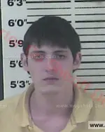 Booking photo of Bobby Allan Smith, Carter County, Mar 8, 2016