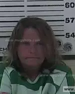 Booking photo of Wendi Jo Workman, Carter County, Jul 2, 2013