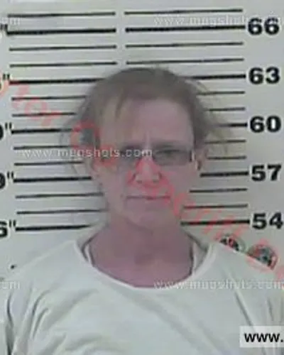 Booking photo of Veronica Lynn Mocilan, Carter County, Apr 10, 2016