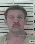 Booking photo of Terry Lynn Lunsford, Carter County, Jul 14, 2017