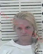 Booking photo of Bobbie Jean Bailey, Carter County, May 23, 2016