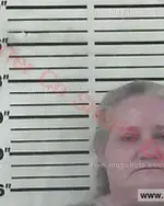 Booking photo of Melissa Ann Baumgardner, Carter County, Aug 3, 2017