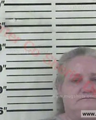 Booking photo of Melissa Ann Baumgardner, Carter County, Aug 3, 2017