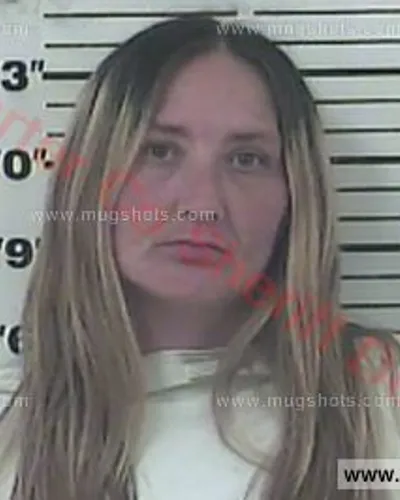 Booking photo of Susan Lorraine Robinson, Carter County, Nov 29, 2017