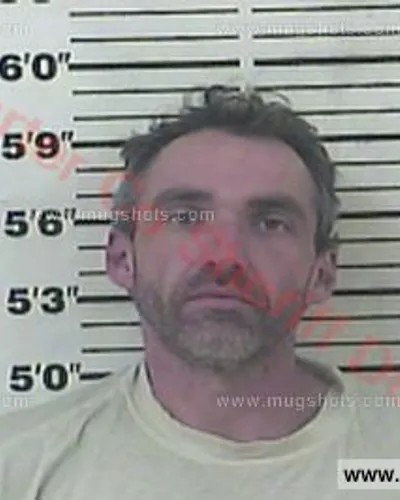 Booking photo of Donnie James Blevins, Carter County, Nov 15, 2015