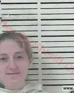 Booking photo of Staci Renee Patterson, Carter County, Aug 7, 2017