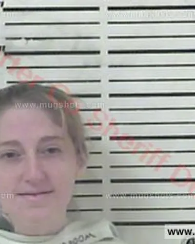 Booking photo of Staci Renee Patterson, Carter County, Aug 7, 2017