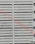 Booking photo of Harold Brian Russell, Carter County, Jul 22, 2017