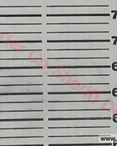 Booking photo of Harold Brian Russell, Carter County, Jul 22, 2017