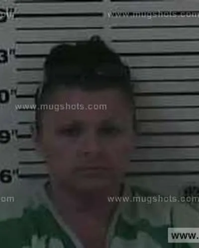 Booking photo of Rhonda Sue Belcher, Carter County, Aug 28, 2014