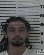 Booking photo of George Ian Yourgulez, Carter County, Aug 5, 2013