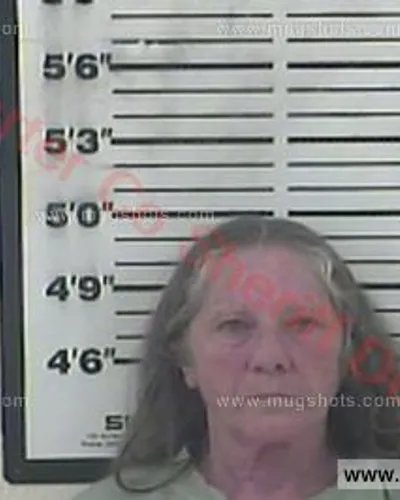 Booking photo of Sheila Greer, Carter County, Apr 10, 2018