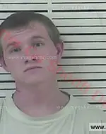 Booking photo of Austin Michael Brady, Carter County, Sep 1, 2017