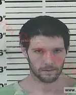 Booking photo of Terry Lynn Campbell, Carter County, Mar 23, 2017