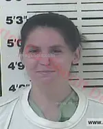 Booking photo of Sarah Ann Reece, Carter County, May 31, 2016