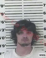 Booking photo of Logan Todd Loveless, Carter County, Apr 1, 2016