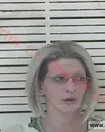 Booking photo of Audra Megan Whisenhunt, Carter County, Feb 26, 2017