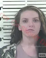 Booking photo of Rachel Elaine Sullivan, Carter County, Feb 1, 2017