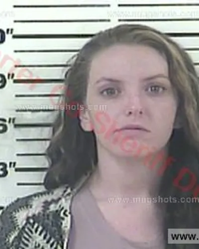 Booking photo of Rachel Sullivan, Carter County, Feb 1, 2017