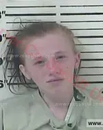 Booking photo of Alexandra Mollie Bryant, Carter County, Feb 25, 2017