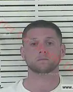 Booking photo of Lee Matthew Wolfe, Carter County, Apr 20, 2017