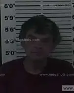 Booking photo of Gary Wayne Honeycutt, Carter County, Jun 20, 2014