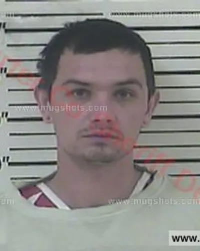 Booking photo of Logan Todd Loveless, Carter County, Feb 27, 2017