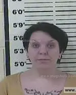 Booking photo of Skyler Laurel Cook, Carter County, Apr 8, 2015