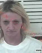 Booking photo of Lisa Diane Dillard-Jackson, Carter County, Jul 24, 2016