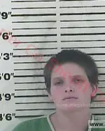 Booking photo of Sarah Jane Gibson, Carter County, Oct 30, 2015