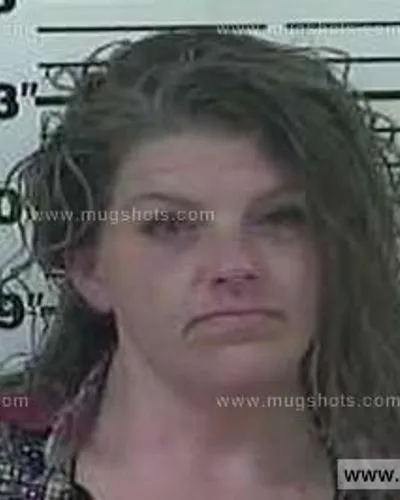 Booking photo of Sonya Arnold, Carter County, Feb 1, 2014