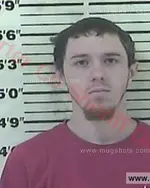 Booking photo of Dustin William Braswell, Carter County, Feb 17, 2016