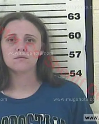 Booking photo of Lisa Sue Parlier, Carter County, Nov 13, 2015