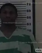 Booking photo of Ryan Daniel Thomas, Carter County, Jan 24, 2015