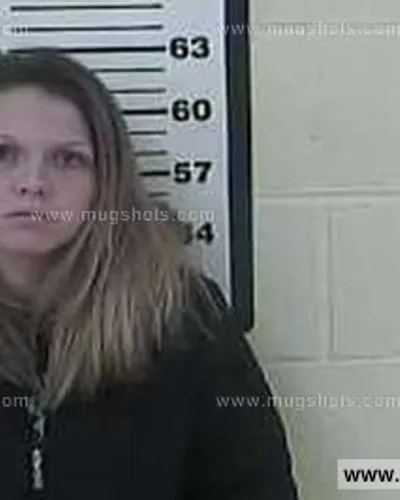 Booking photo of Ashley Kizzire, Carter County, Feb 4, 2014