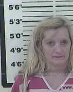 Booking photo of Tracy Dawn Phillips, Carter County, Jun 8, 2015