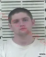 Booking photo of Emerson Skye Weems-Collins, Carter County, Feb 12, 2016