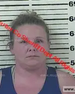 Booking photo of Rebecca Diane Bennett, Carter County, Jul 16, 2015