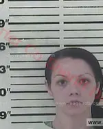 Booking photo of Ashley Elizabeth Monk, Carter County, Jun 14, 2017