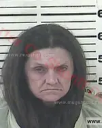 Booking photo of Lisa Ann Sprague, Carter County, Jun 10, 2017